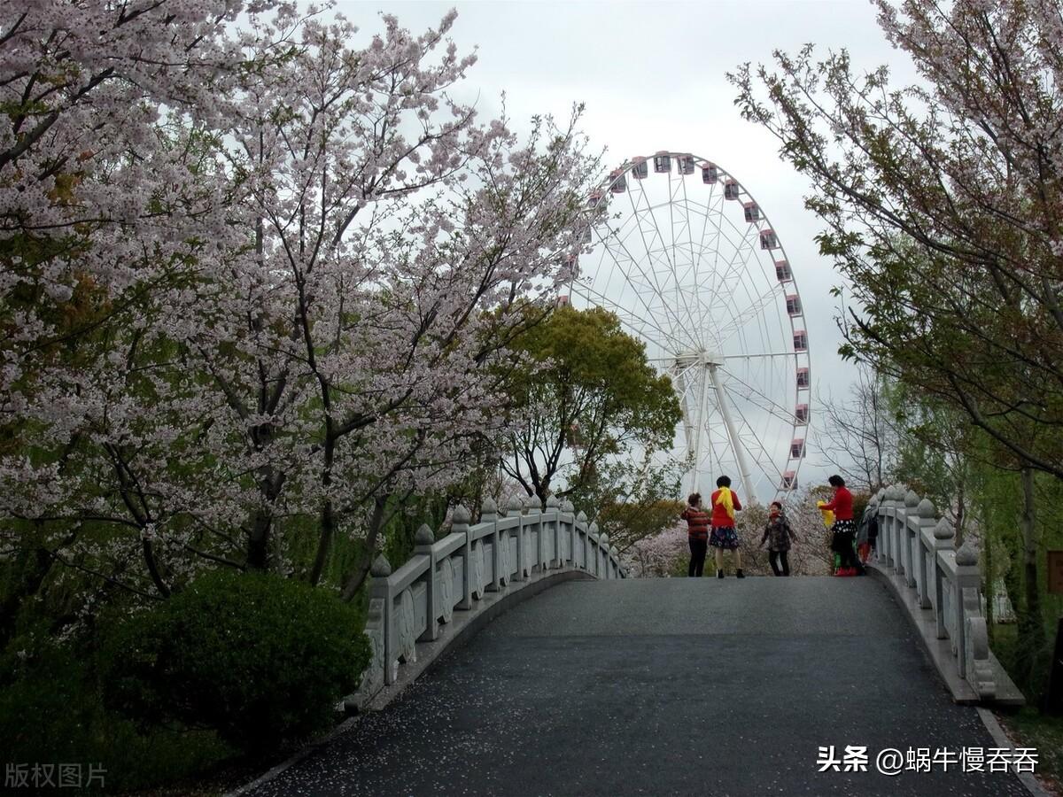 美兰湖最新动迁房价,美兰湖最新动迁房价，科技与生活共舞的未来空间