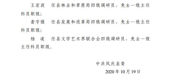 临沧最新干部人事任免多维度解析，观点分析