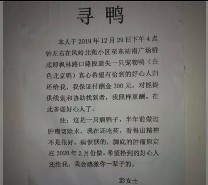 慈溪宏一最新招聘启事发布，职位空缺等你来挑战！