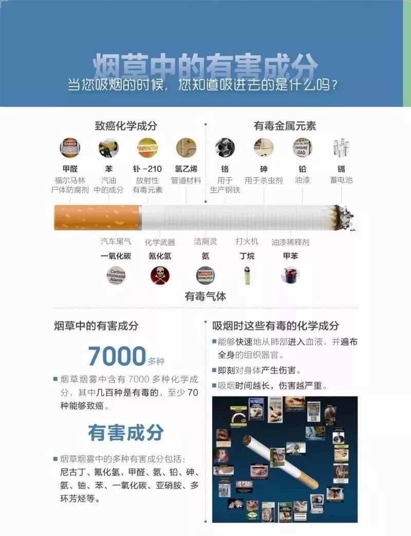 智能烟品重塑健康，最新研究揭示吸烟有益健康的科技前沿秘密！