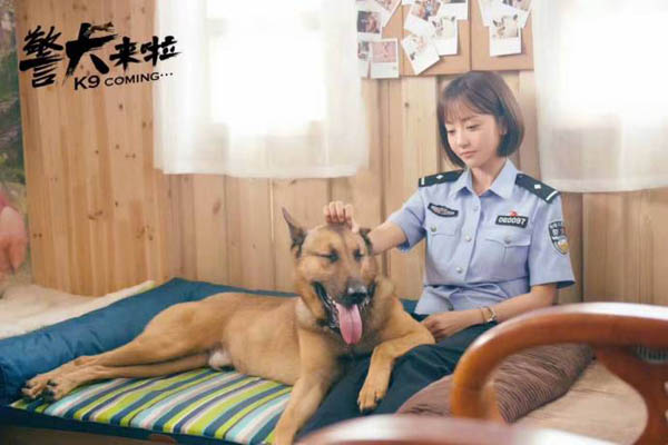 最新警犬电视剧概览，科技重塑生活，潮流引领之作