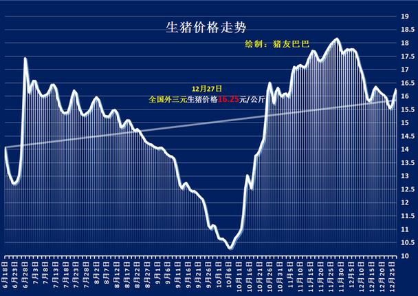 全国猪价行情最新动态，科技引领未来，把握新动态趋势