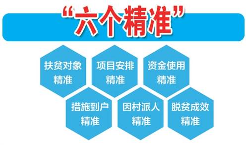 4949精准最准资料,新技术推动方略_IHN58.880悬浮版