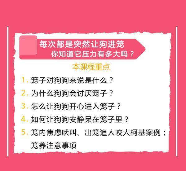 2024新奥门免费资料澳门钱庄,深入登降数据利用_NLL9.111启动版