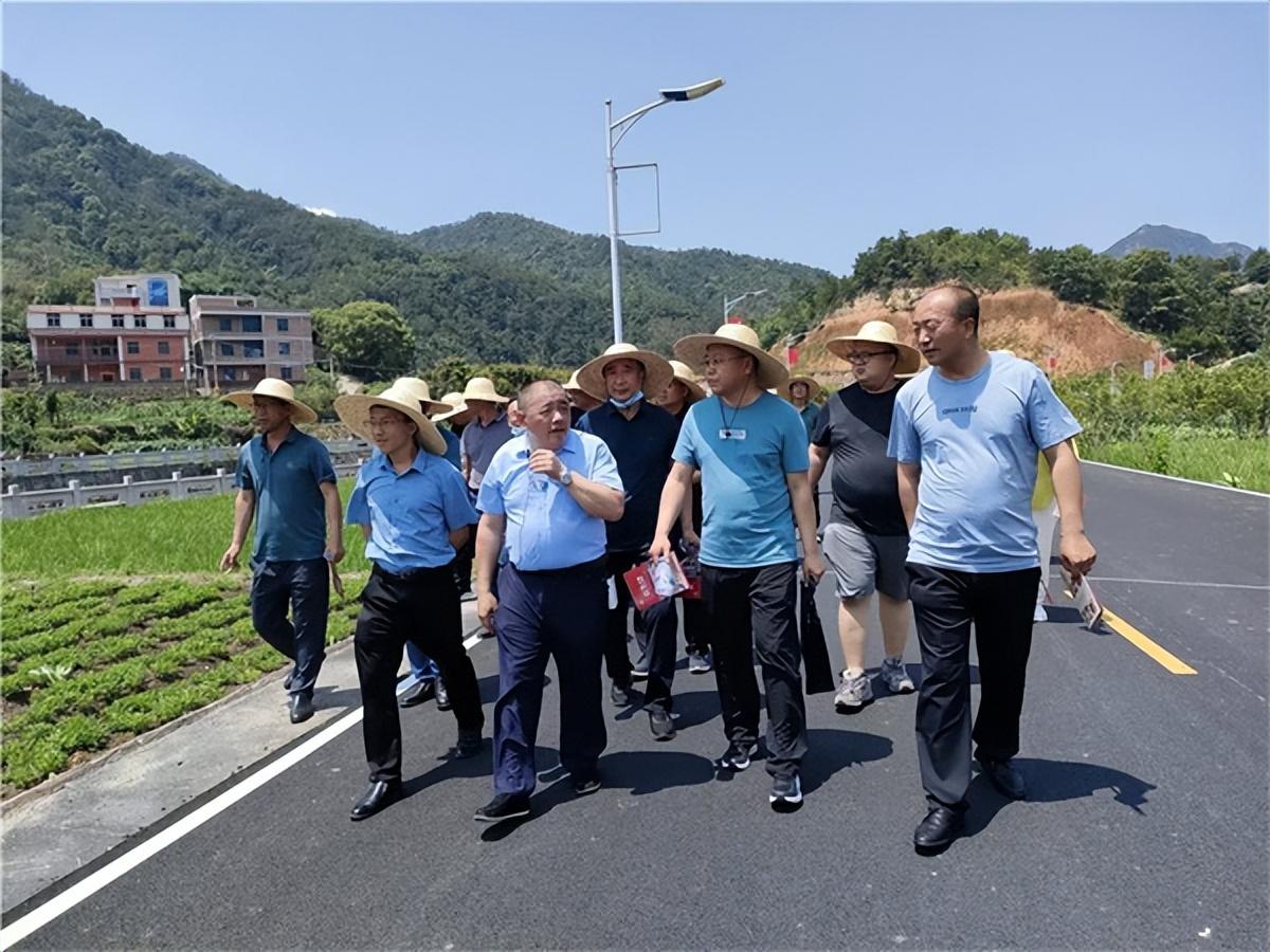 黄水黄连最新价格及分析今日行情揭秘