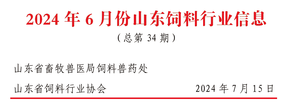 2024澳门精准资料大全管家婆,详细数据解读_为你版10.385