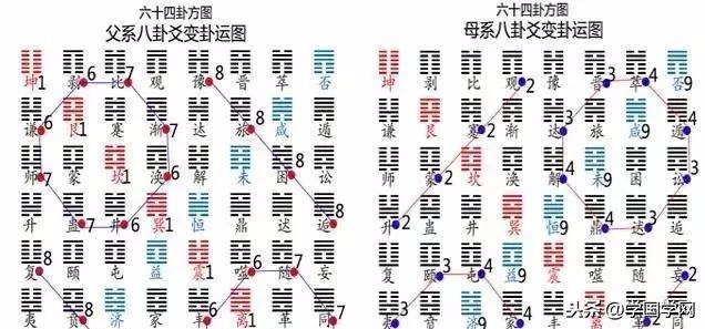 白小姐今晚特马期期准六,科学依据解析_智慧版3.264