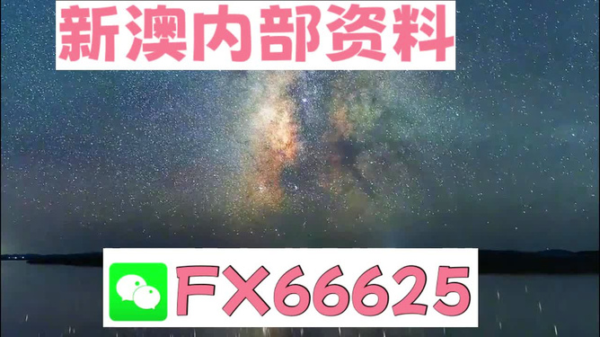 2024天天彩资料,持续改进策略_定制版81.988