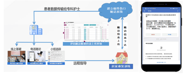 新澳门六肖期期准,精细化实施分析_体验式版本34.311