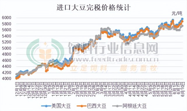 美国大豆今日最新动态，市场趋势、影响因素及前景展望