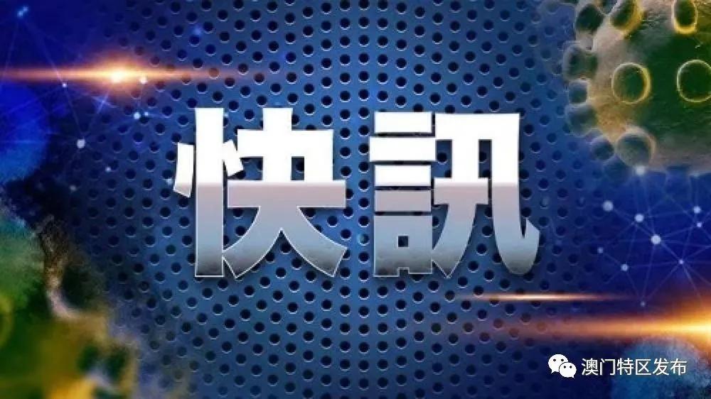 记者会最新动态及分析，聚焦要点、热点与趋势展望