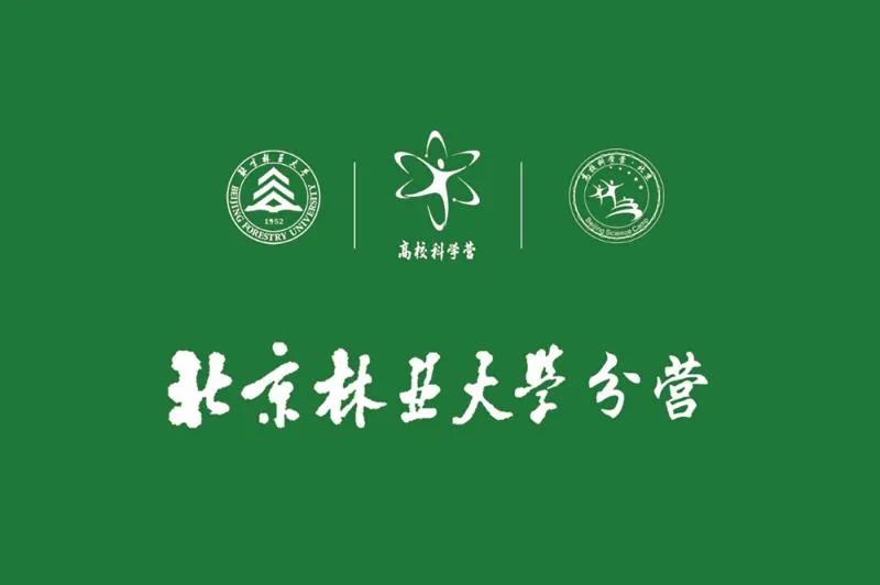 北林疫情最新动态解析，要点分析与解读