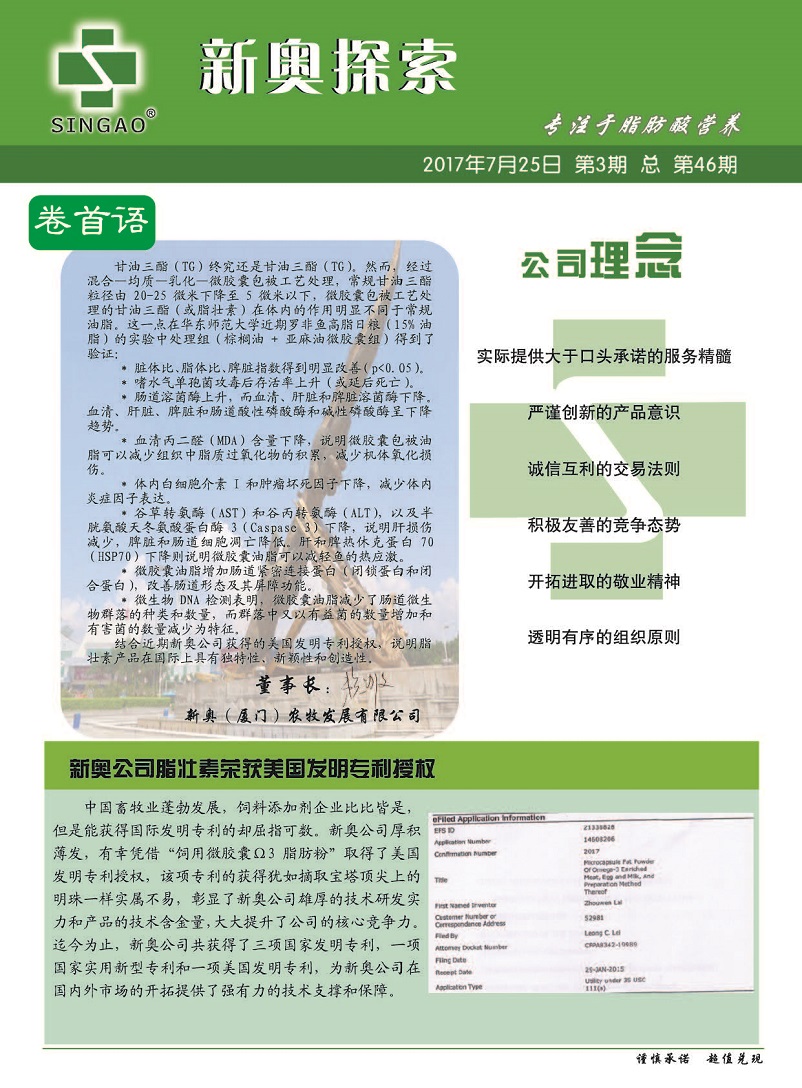 新奥内部长期精准资料,高效性设计规划_掌中宝24.110