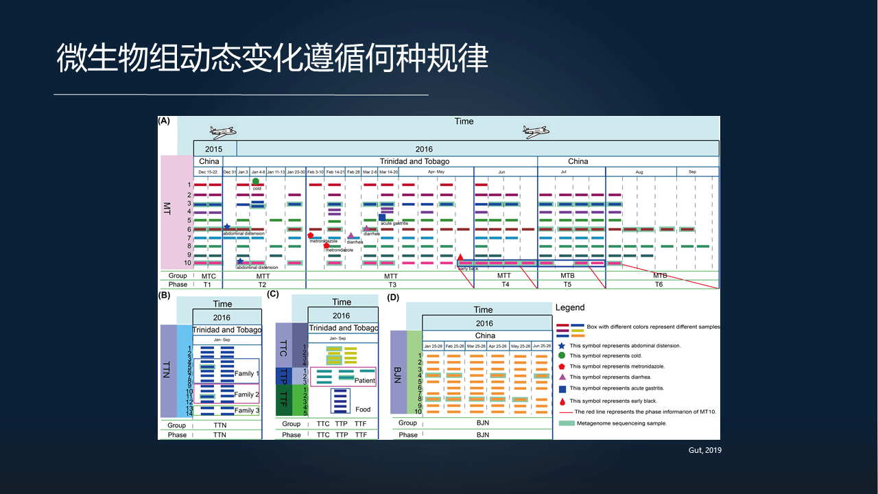 新澳门内部一码精准公开网站,数据详解说明_仿真版9.916