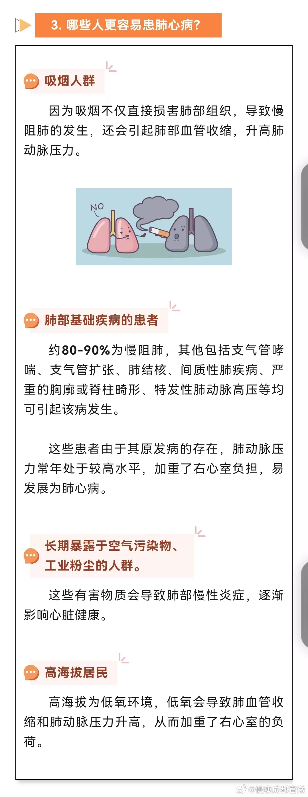 心肺最新动态与小巷深处的独特风味探索