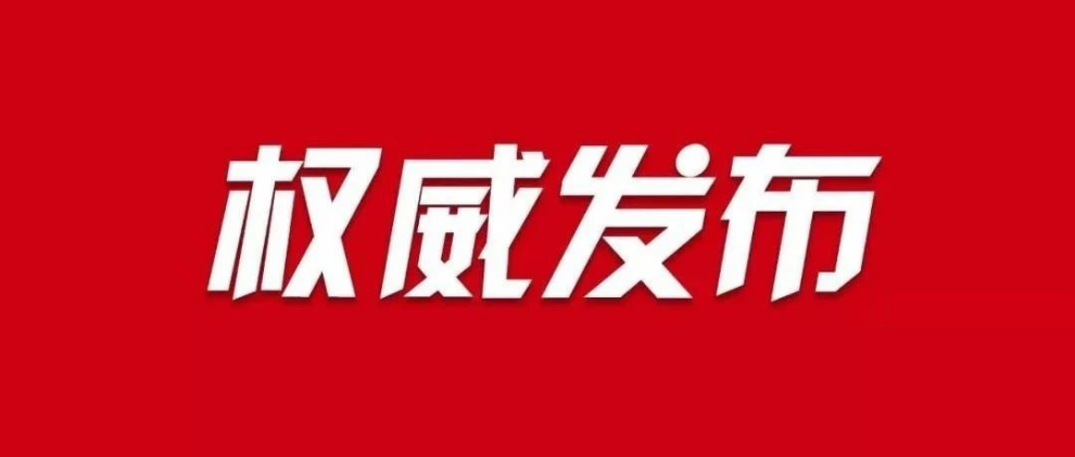 金玛最新消息,金玛最新消息，深度解析与观点阐述