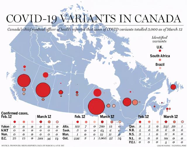 加拿大疫情最新动态与深度解析