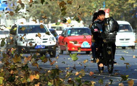 河北省最新大风，多方观点分析与个人立场阐述