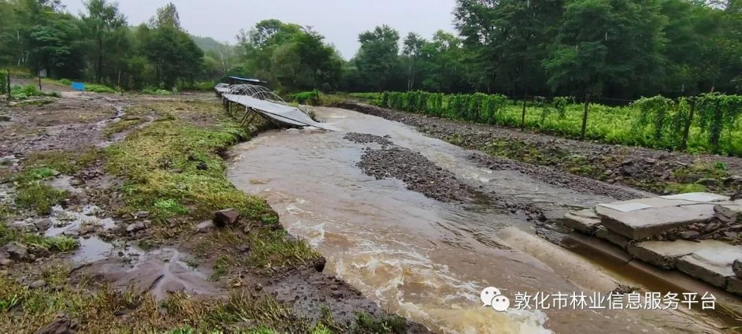 最新台风海神路径图分析，多方观点与个人立场探讨