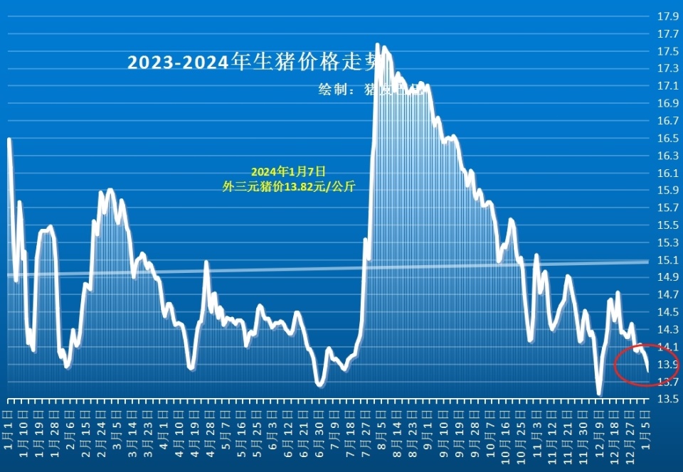 生猪市场行情分析与应对策略指南