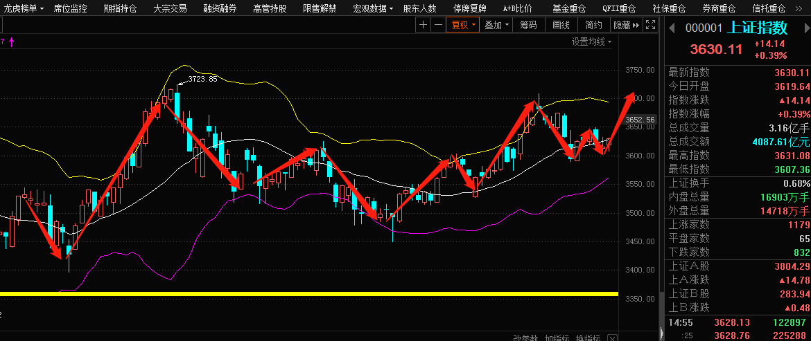 601010股票行情分析与交易策略全解析（适合初学者与进阶用户）