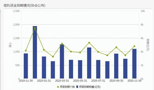 期货公司最新规模排行榜，背后的故事与温馨时刻