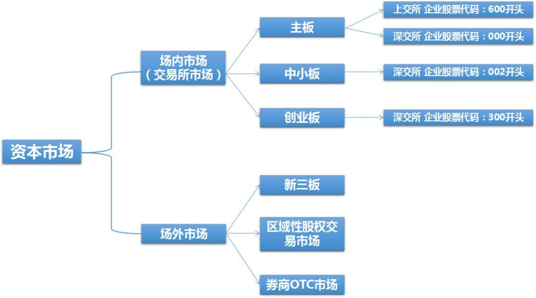 股票中小板，小巷中的投资宝藏，一起探索其奥秘