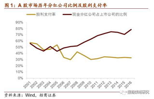 支付股票股利与小径深处的独特小店探秘揭秘