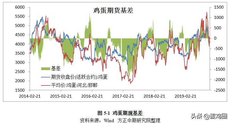 蛋鸡市场行情，心灵与自然的交响之旅