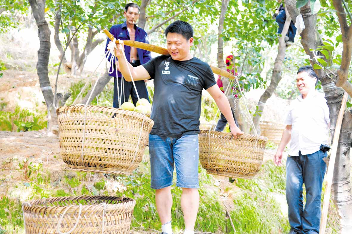 现代农夫风采，科技引领田园重塑梦想