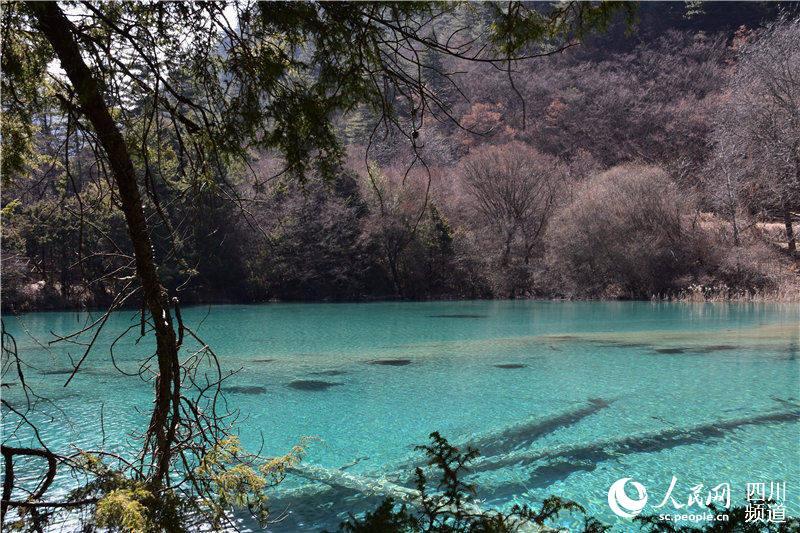 九寨沟美景新照，自然之韵与时光魅力展现的绝美画卷