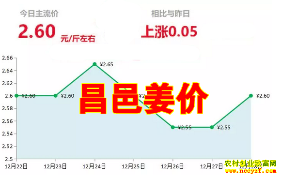 昌邑大姜今日最新价格及小巷独特风味探索之旅